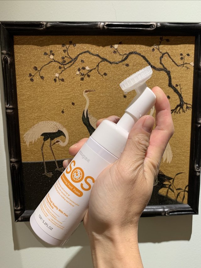 遛狗必备神器除了狗绳，还有它。
