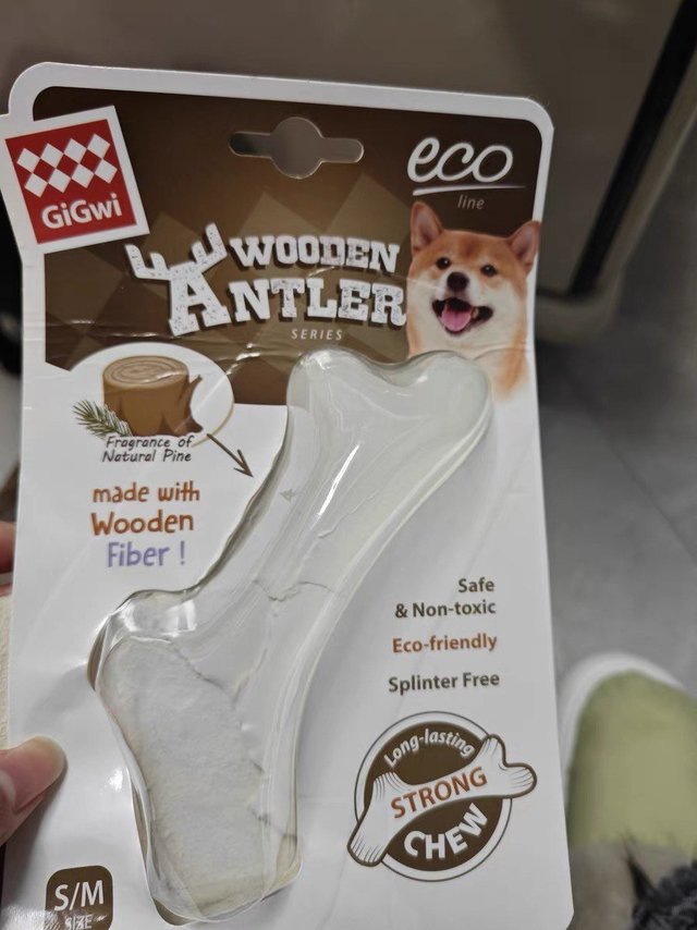 两个月大的时候买了第一根，现在啃没了