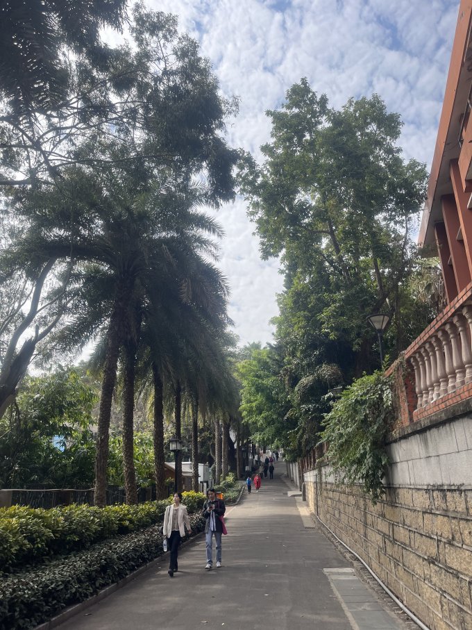 国内度假