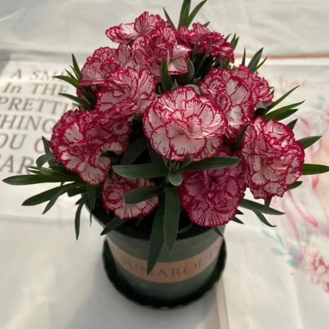 鲜花绿植