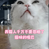 别让猫咪口臭成为问题！