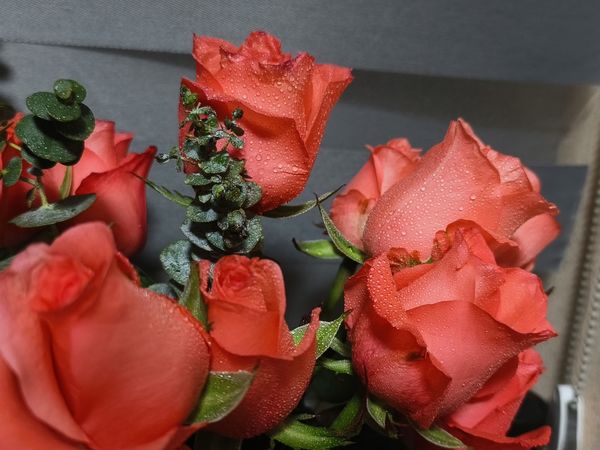 9.9鲜花，真好看
