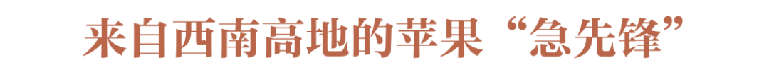 苹果,你可能从来没吃对!