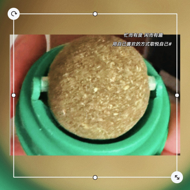 茨格曼的猫薄荷球