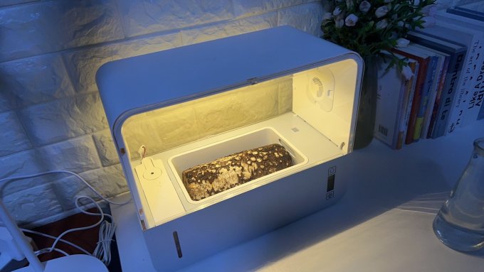 超级菇菇园艺用品