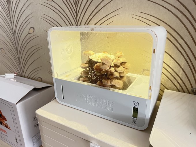 超级菇菇园艺用品