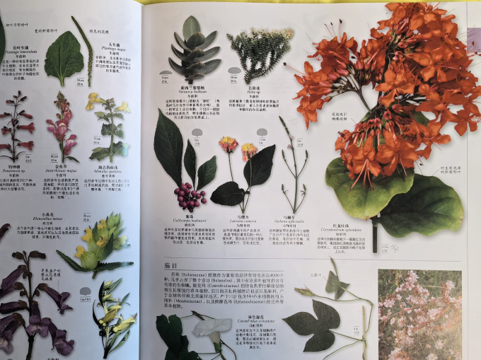 科学普及出版社科学技术