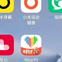 好物不私藏 篇一百二十六：小米手环APP系列之小米穿戴