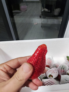 挺不错的草莓