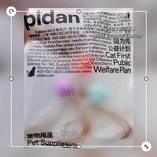 Pidan猫玩具弹力球3只装