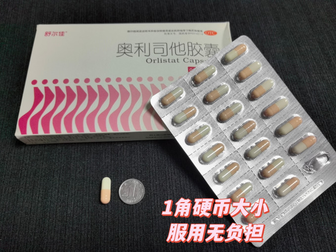 舒尔佳消化系统
