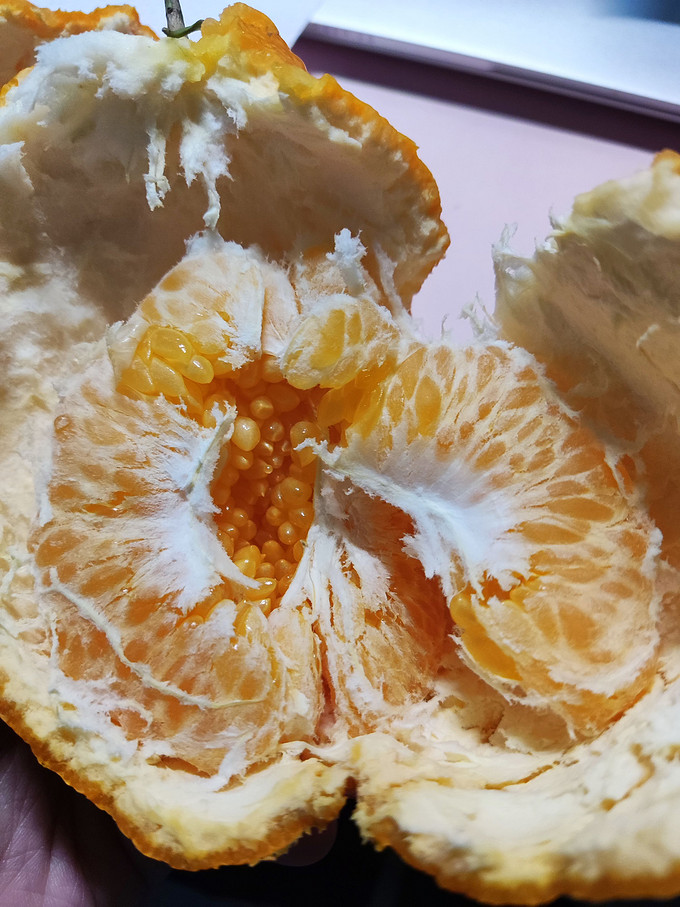 京东生鲜橘/桔