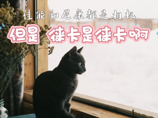 来看看我用徕卡拍的胶片照片！