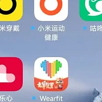 小米手环APP系列之非官方APP