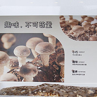 实现家中菌菇自由，超级菇菇菌菇生态箱，享受自给自足的乐趣