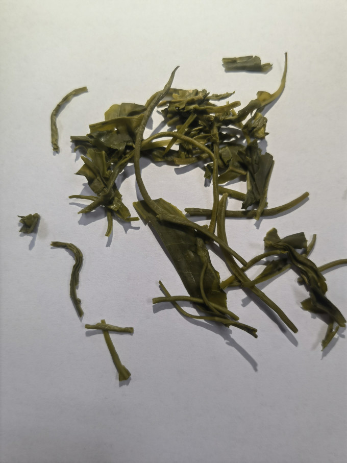 日照绿茶茶类