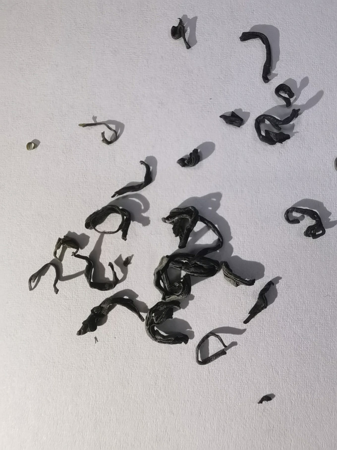 日照绿茶茶类