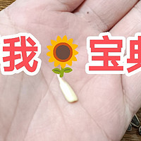 美食生活 篇四十八：加班季，必须有葵花🌻宝典