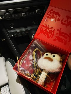 龙年新晋车搭子