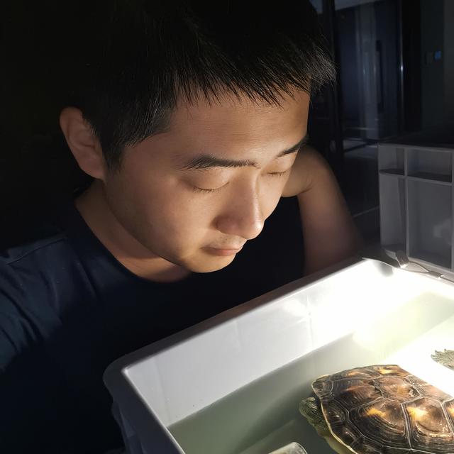 养龟日记：我养了几十种乌龟的这些年