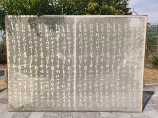 春天来了，到各公园走走