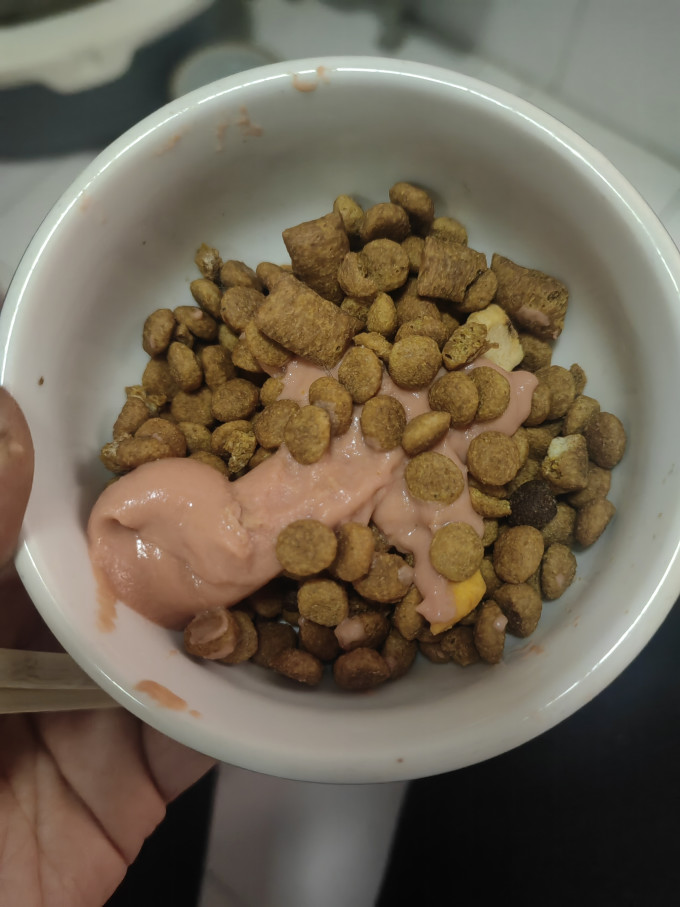 力狼猫咪湿粮/罐头