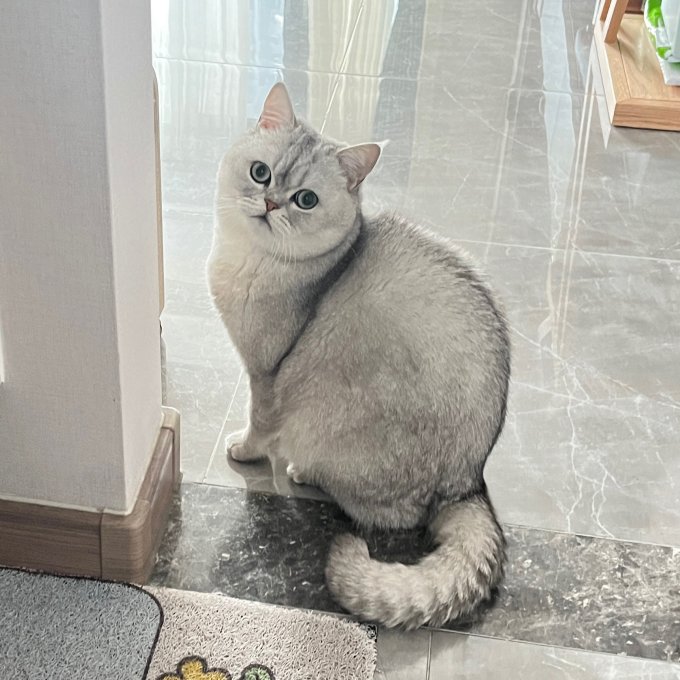 精华液