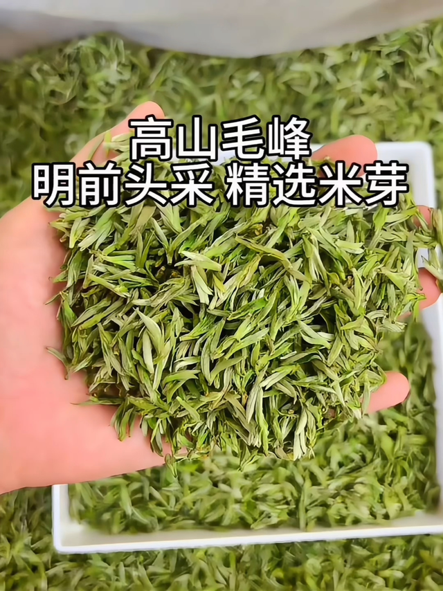 毛峰新茶到，快来看一看！