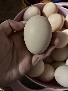 春天营养补给站，一天吃几个鸡蛋最合适？