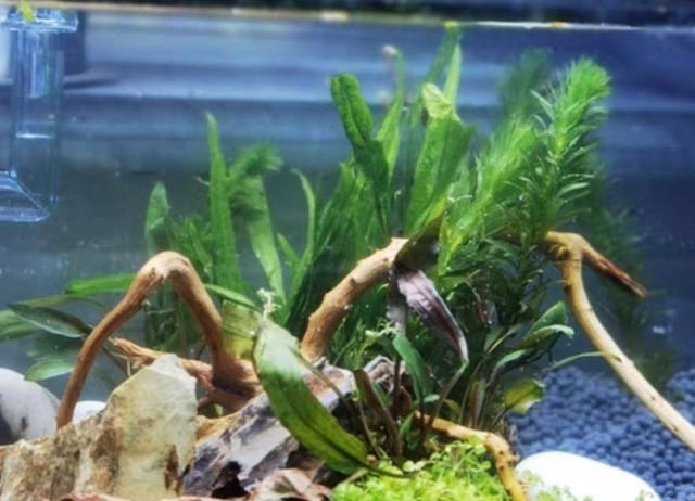 水族世界