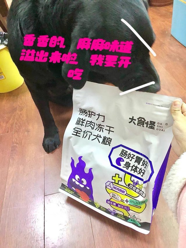 狗粮推荐|好吃还不贵
