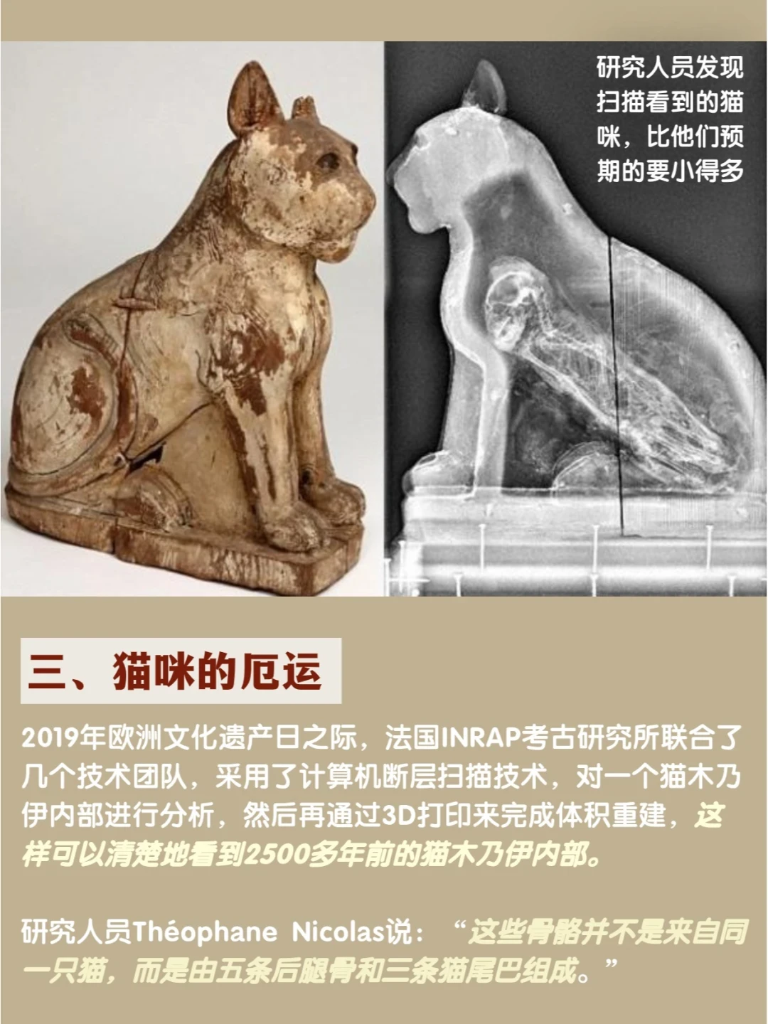 爆哭😭我终于知道了🐱猫木乃伊的背后真相😱_什么值得买