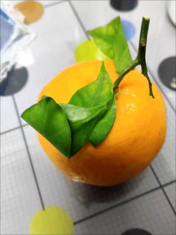 乌仙子新鲜水果