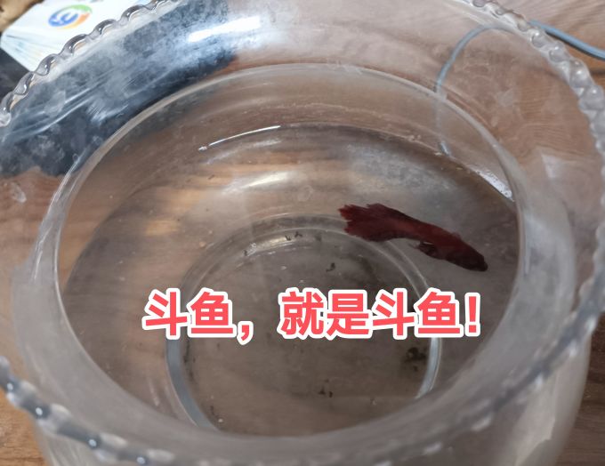 吉品鸿鱼粮