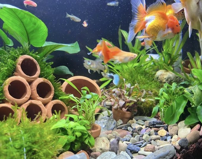 森森智能鱼缸/水族箱