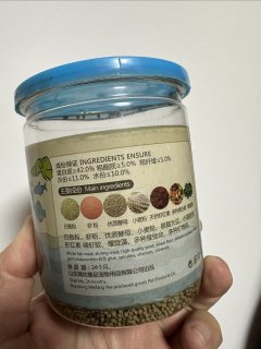 小金鱼最爱的鱼食！
