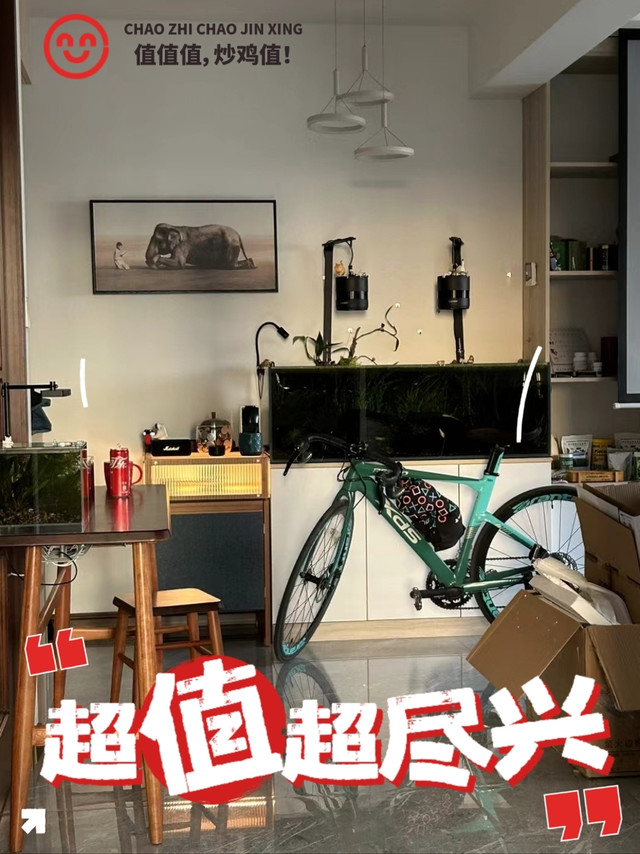 🐠🐟 草缸大作战！敌不动我不动，一触即发！