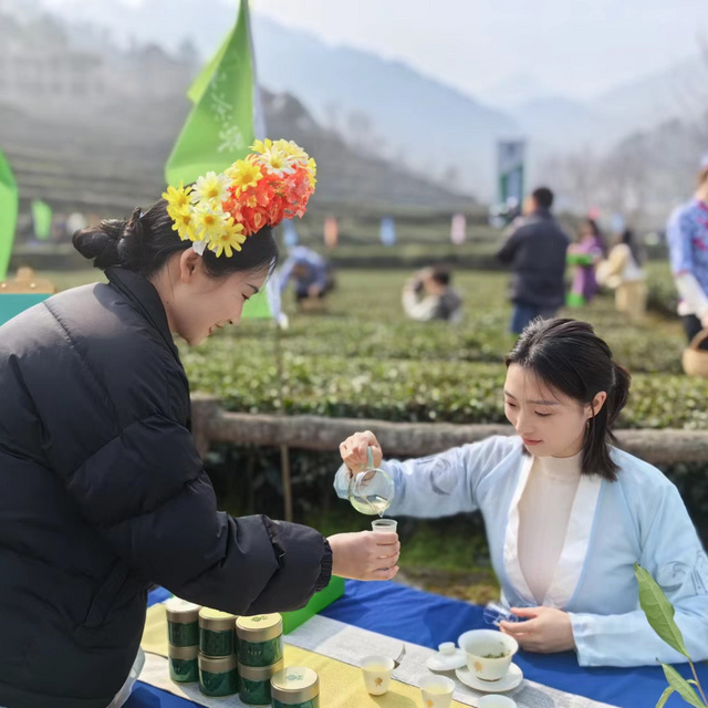 2024年 头采春芽“萧氏春芽”和“峡州早茶”上市