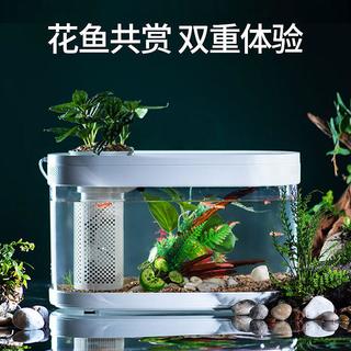 # 面法几同桌面生态懒人鱼缸:开启智能养鱼新时代!