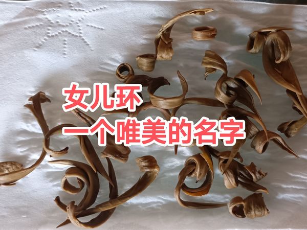 女儿环，像女儿红一样唯美
