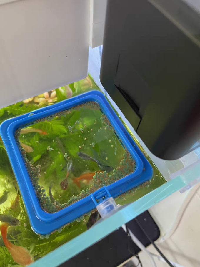 老漁匠鱼缸