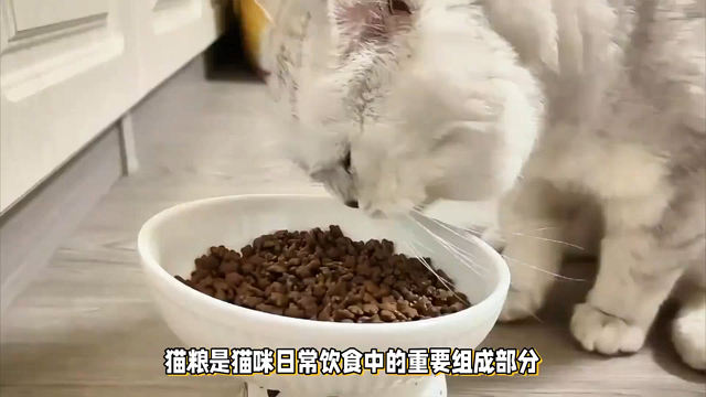 福派斯三文鱼益生菌猫粮，多猫家庭猫粮