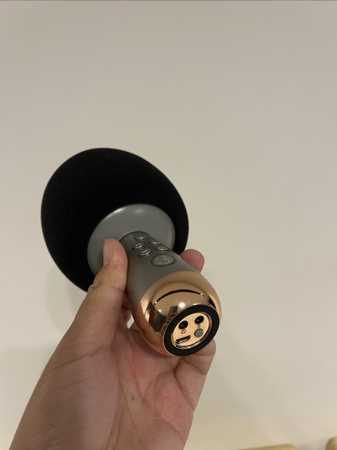 小巨蛋麦克风