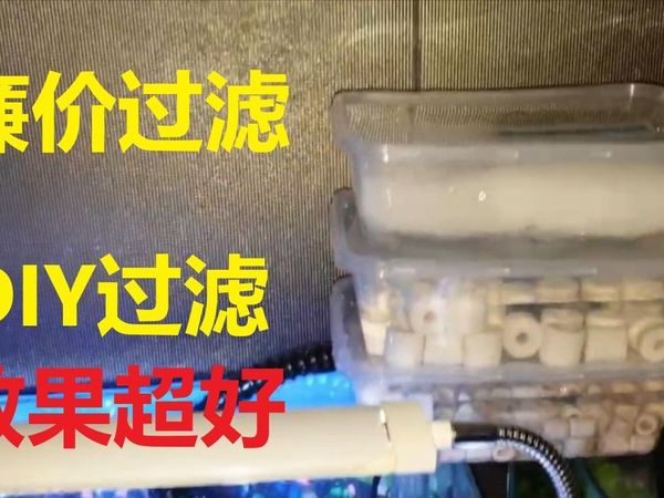 自制过滤器效果超好史上最廉价的过滤器自制鱼缸过滤器乌龟缸过滤器周转箱过滤器沼泽过滤生态鱼缸diy过滤器乌龟缸过滤器乌龟生态缸乌龟盲盒自制晒台攻略教程教学养龟鱼缸