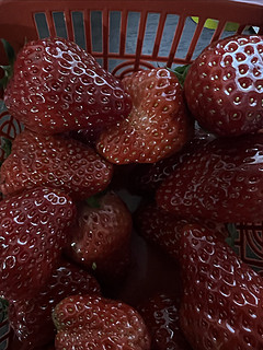 这次路边的草莓园里买的草莓真不错