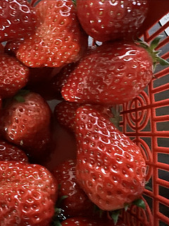 这次路边的草莓园里买的草莓真不错