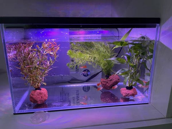 你的私人水族世界，智能家居新选择