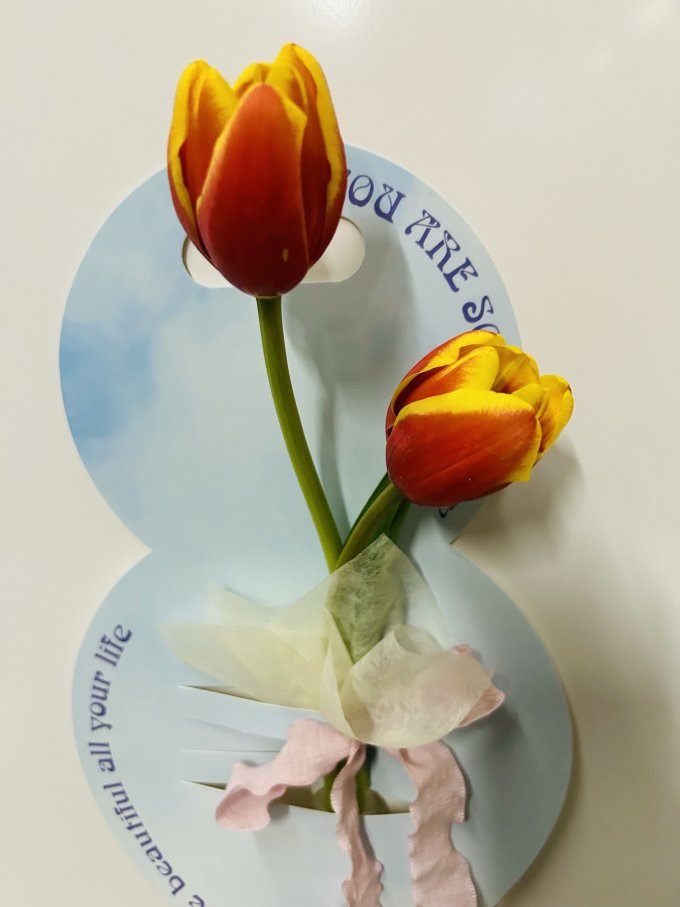 行湘鲜花