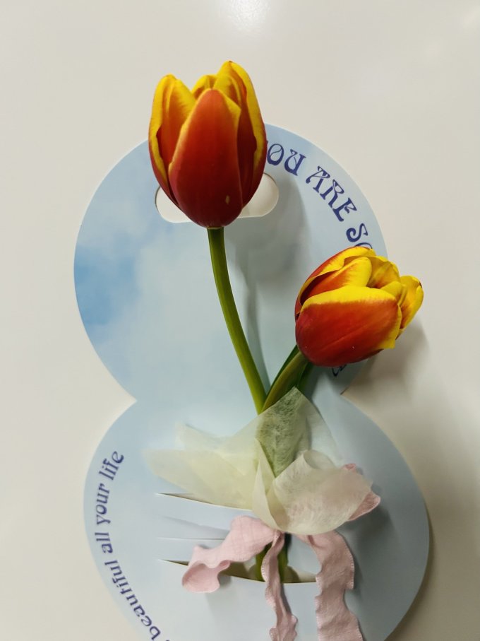 行湘鲜花