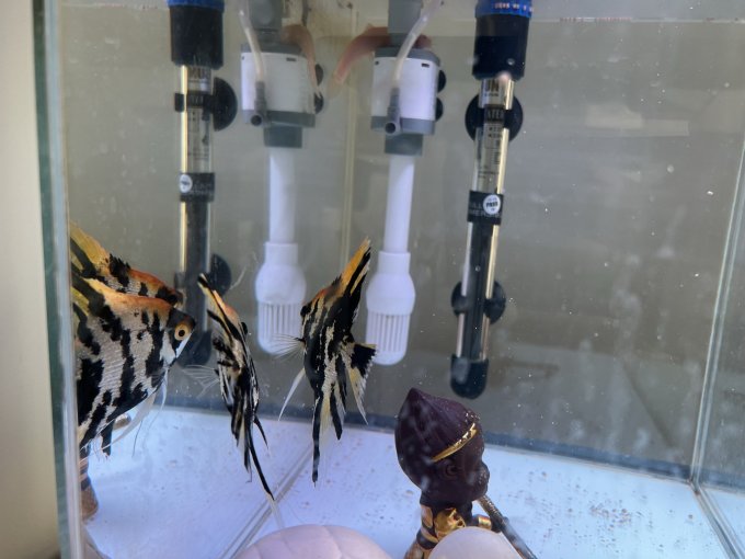森森智能鱼缸/水族箱